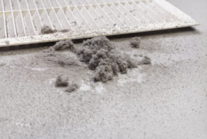 Dust collected from the air duct filter.